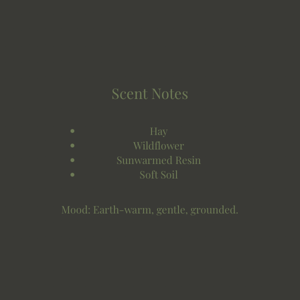Field Hymn — Deep Return Practice Card