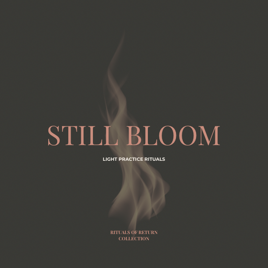 Still Bloom — Light Practice Ritual Card