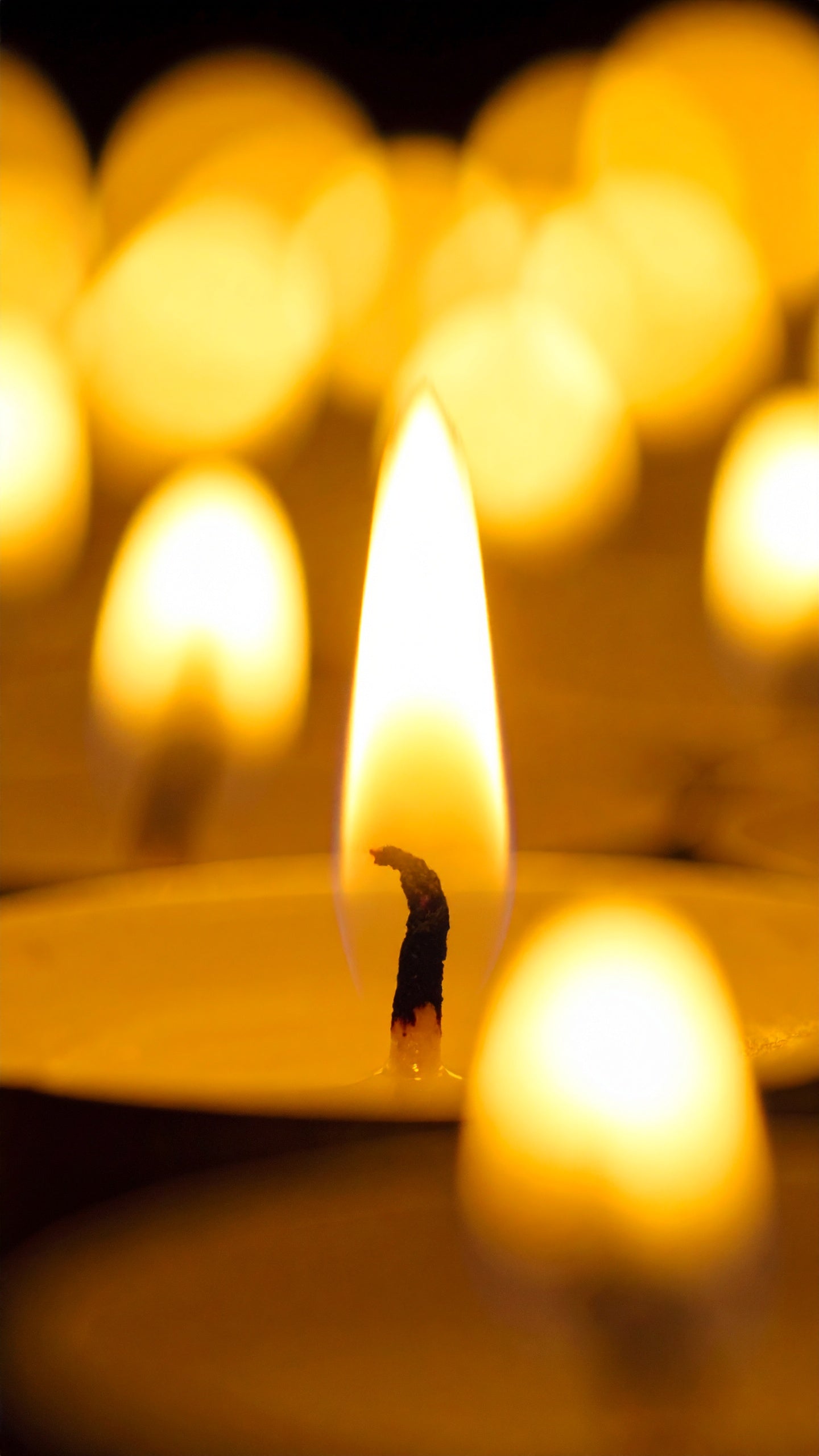 Tea Light Discovery Sets